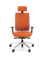 Veris 111SFL chrome P54PU