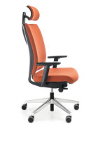 Veris 11SFL chrome P54PU