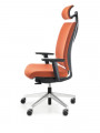 Veris 11SFL chrome P54PU